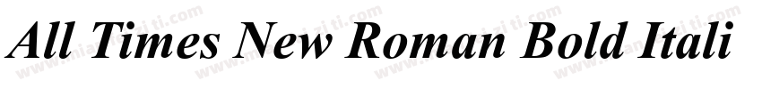 All Times New Roman Bold Italic字体转换
